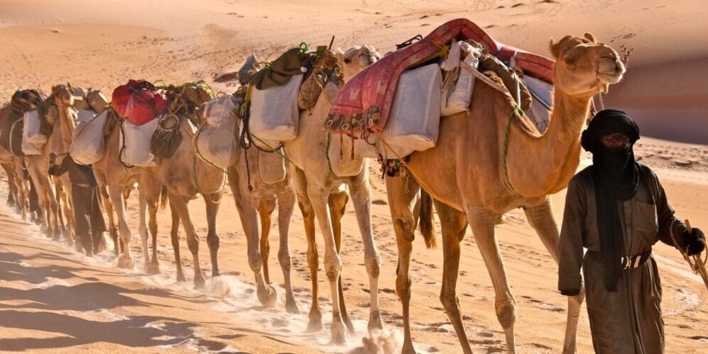 Tickets Wüstenkonzert Marcus Rasen & More or Less,  in Friedrichshafen