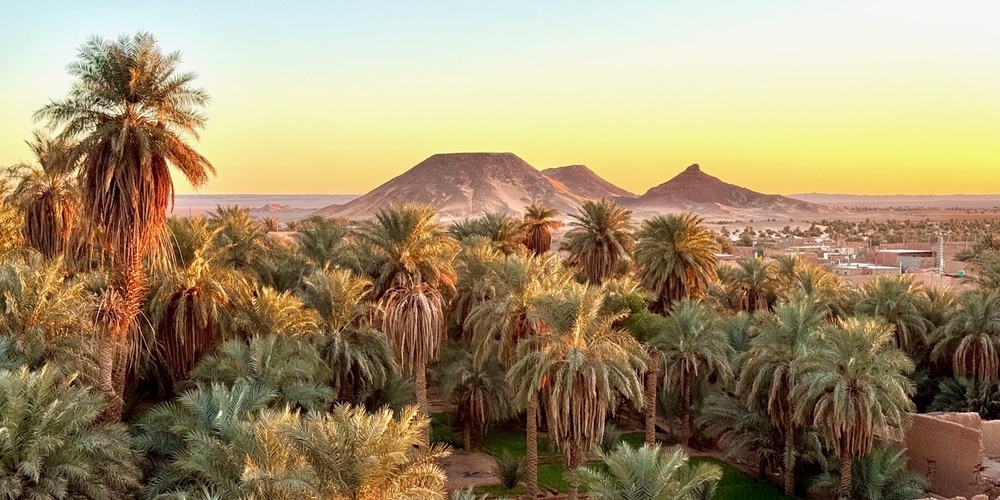 Tickets Wüstenkonzert Marcus Rasen & More or Less,  in Friedrichshafen